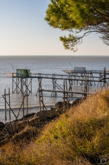 Carrelets de Port-des-Barques ( France / Charente-Maritime (17))