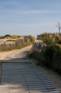 Plage de Trousse-Chemise Les Portes-en-Ré / Ile de Ré (France / Charente-Maritime(17))