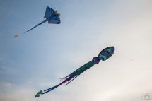 # 16 - Entre ciel et mer ... (Festival International du Cerf-Volant et du Vent de Châtelaillon-Plage (17 / France))