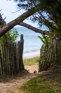 # 19 - Chemin vers le paradis (Plage de la redoute; Les Portes-en-Ré (17) / France)