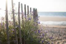 # 24 - Comme un air de vacances (Ile de Ré (17)/France)