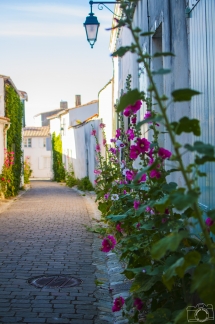 # 27 - Au détour d'une ruelle à St Martin (Ile de Ré (17) / France)