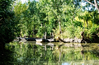 Marais Poitevin / Abbaye de Maillezais (85/France)